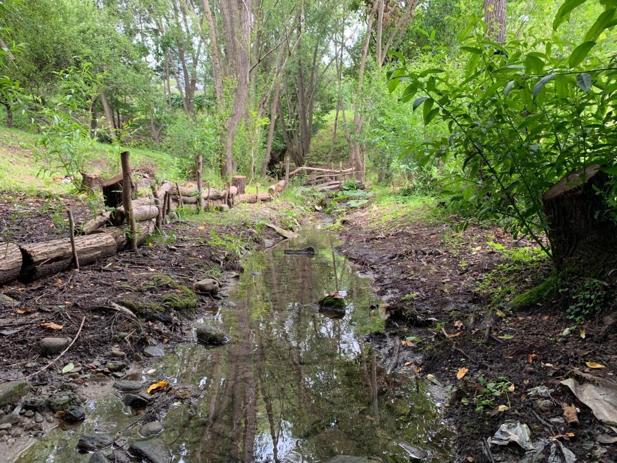 Casa rurala cu padurice si livada Câmpina Exterior foto