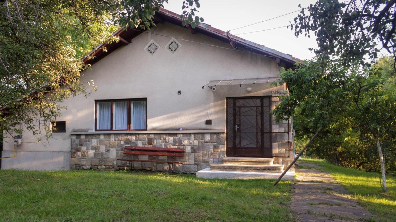 Casa rurala cu padurice si livada Câmpina Exterior foto