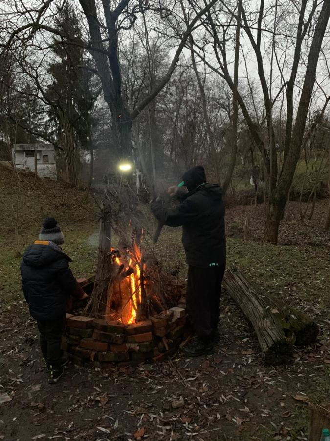 Casa rurala cu padurice si livada Câmpina Exterior foto