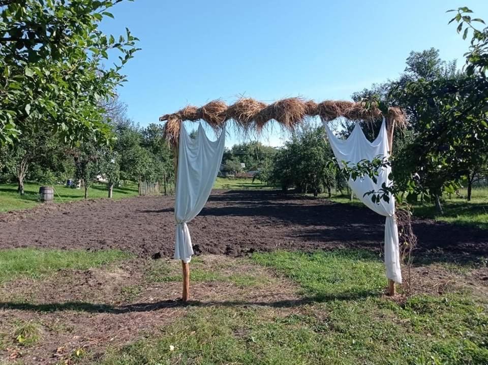 Casa rurala cu padurice si livada Câmpina Exterior foto